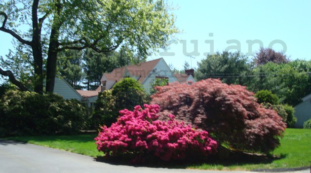 nanuet homes for sale in the spring market 6