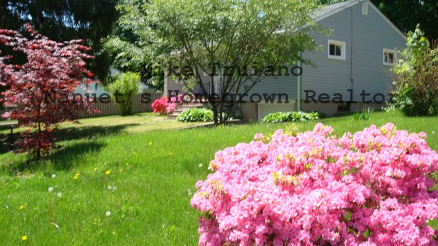 photos of nanuet homes in the spring market 9